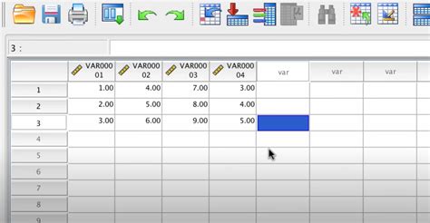 Image result for Coding of Variables in Variable View in SPSS