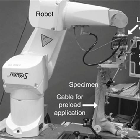 Body Testing Robot 的图像结果