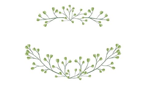 Rahmen oben und unten handgezeichnete Äste mit Blättern botanische ...