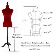 Buy BaytoCare Female Mannequin Torso Clothing Dress Form Display Sewing ...