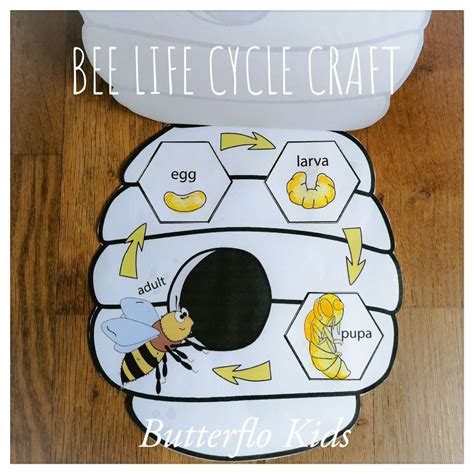 Bee life cycle craft – Artofit