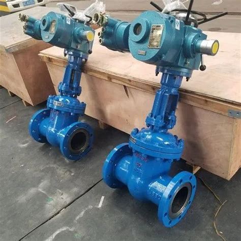Motorized Gate Valve - KSB CS Gate valve Manufacturer from Mumbai