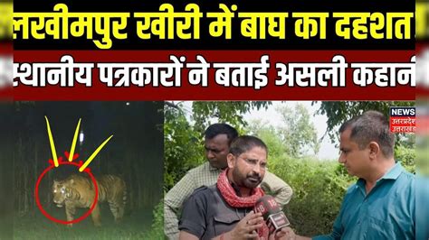 Tiger Attack in Lakhimpur Kheri: गन्नों के खेतों में कहां से आया आदमखोर ...