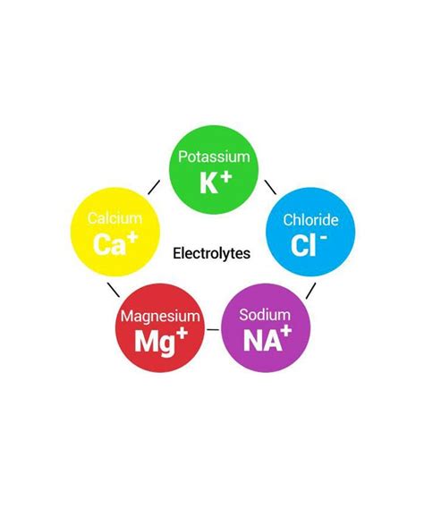 Book Electrolyte Profile Test Online, Electrolyte Blood Test at Home