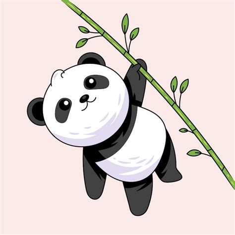 Panda rysunek Zdjęcia - darmowe pobieranie na Freepik