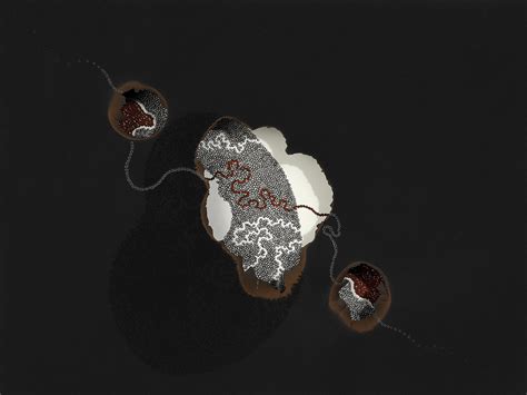 Micropia 34 – Artisera
