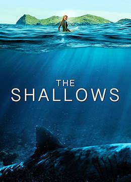 《鲨滩》2016年美国惊悚,冒险电影在线观看_蛋蛋赞影院