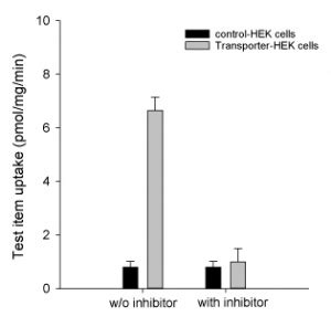 Image result for How to Perform Enzyme-Substrate Method Using Quanti Trays