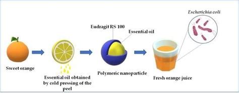 Essential Oils-Loaded Polymer Particles: Preparation, Characterization ...