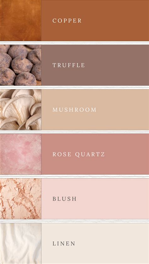 Neutral Brand Color Palette: Copper, Pink, Chocolate (canva) - Etsy | Brown color palette, Color ...