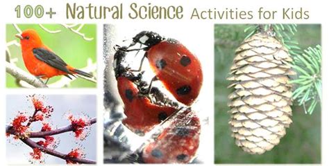 Nature Science Experiments 的图像结果