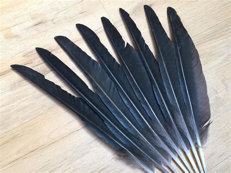 9 Crow Feather Uses: Unveil the Magic of These Mystical Feathers