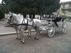 carrozza cavalli noleggio carrozza matrimoni affitto carrozza con carrozza cavalli noleggio carrozza matrimoni affitto carrozza con