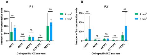 Optimized Recovery of Immature Germ Cells after Prepubertal Testicular ...