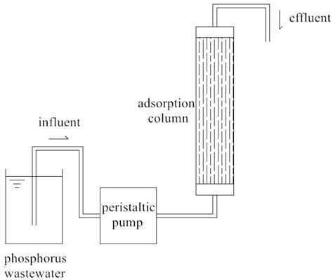 Kinetics and Thermodynamics of Efficient Phosphorus Removal by a ...