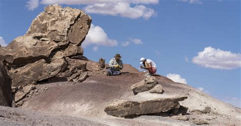 Paleontologists 的图像结果