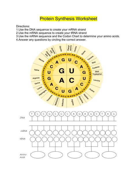 Protein Synthesis Worksheet 的图像结果