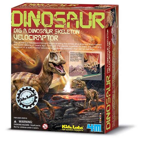Buy 4M Kidz Labs - Velociraptor Skeleton Online at Best Price in India ...