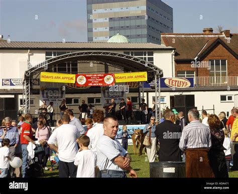 Newport South Wales GB UK 2003 Stock Photo - Alamy