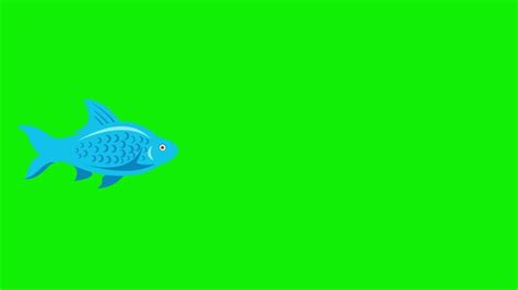 Image result for Stop Motion Fish