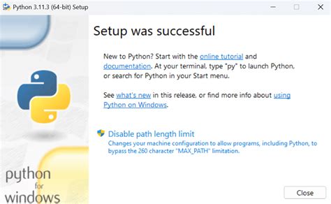 Install Python 的图像结果