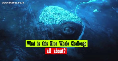 Banned Blue Whale Game still available in other names - IBTimes India