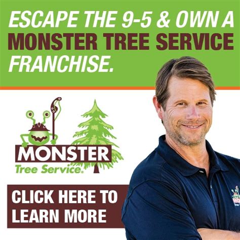 Image result for Monster Tree Removal