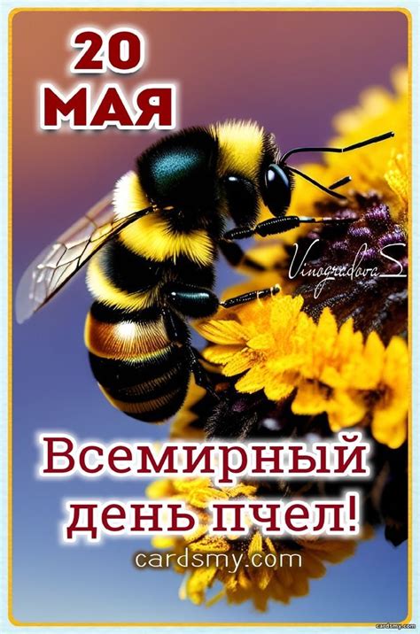20 мая день пчел - Добрые современные открытки | Современная открытка ...