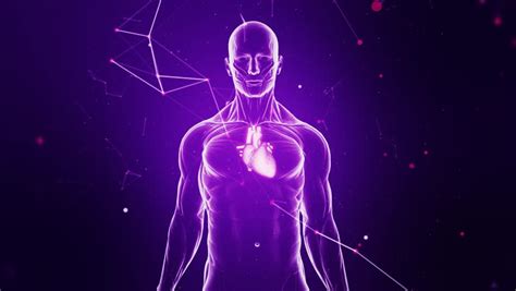 heart circulatory system scan animation human Stock Footage Video (100% Royalty-free) 12047225 ...