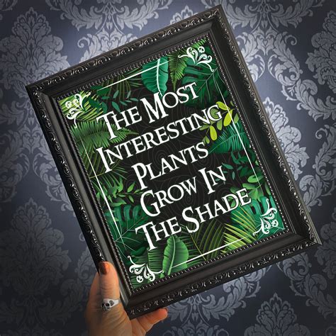 The Most Interesting Plants Grow In The Shade – The Crafty BurrEato