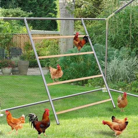 Amazon.com : Wenqik Large Chicken Perch Chicken Roosting Bars for Coop ...