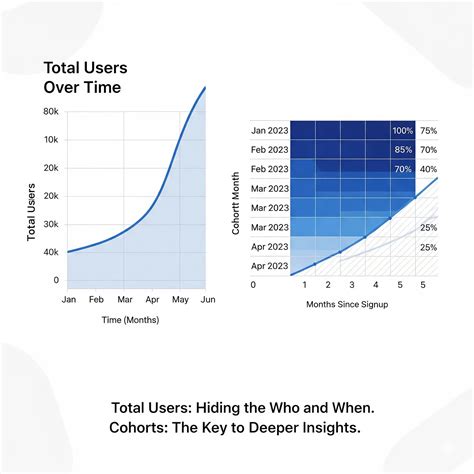 Image result for How to Narrow Down Data Using SQL