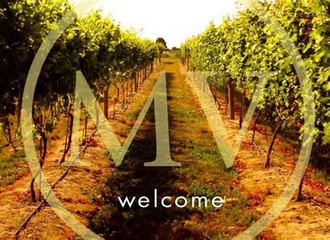 Maize Valley Winery - Hartsville OH | Cool places to visit, Winery, Brewery