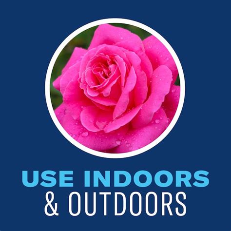 BioAdvanced House and Mite Control 24 -oz Ready to use Insect disease ...