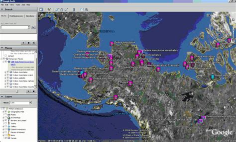 GIS-Lab: Глобальная база данных по биоразнообразию – GBIF. Введение.