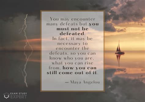 Study Motivation 的图像结果