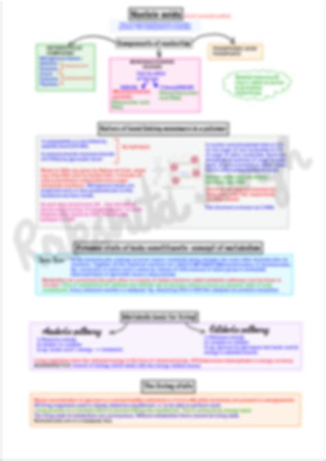 Biochemistry MindMap 的图像结果