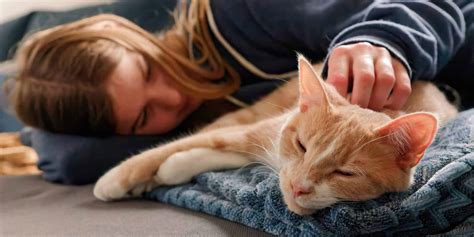 Why Cats Are Good For Mental Health