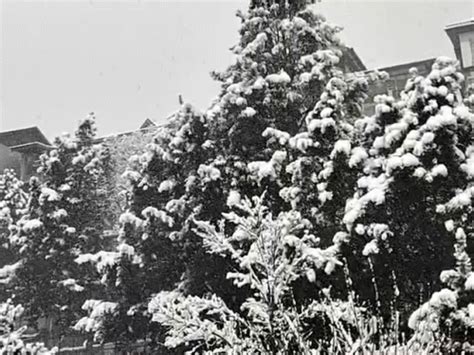 Himachal-Uttarakhand Snowfall; Atal Tunnel Avalanche | UP Fog Causes 15 ...