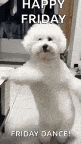 Happy Friday Funny GIFs | Tenor