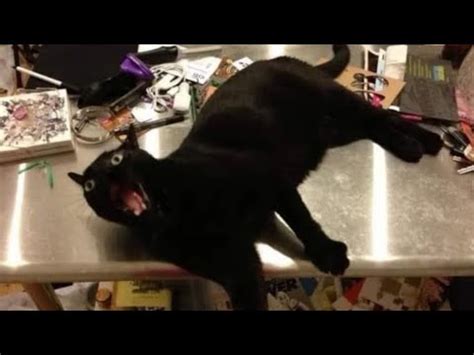 Image result for Minecraft Tutorial Part 7