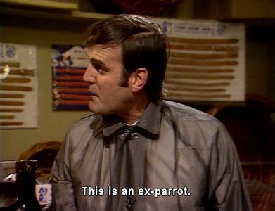 Image result for Monty Python Perroquet