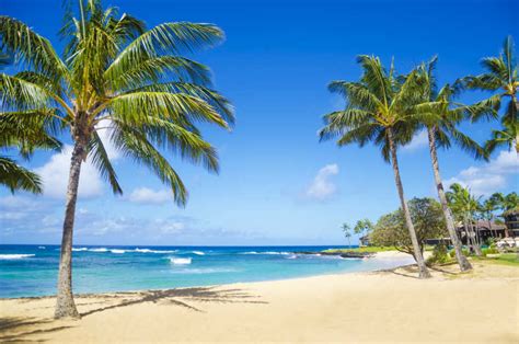 夏威夷考艾岛海滩4k超高清壁纸和背景,高清图片,壁纸 - 天下桌面
