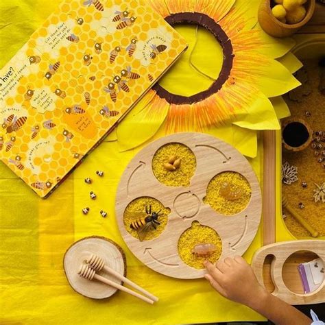 JoGenii | Wooden Life Cycle Board, Nature and Science Learning Aid ...