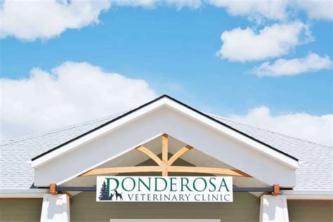 Emergency Vet Colorado Springs