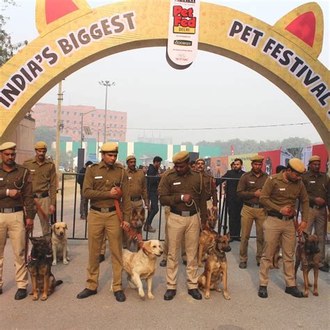 Pet Fed festival 2023: Date, venue, timings, ticket price, and more