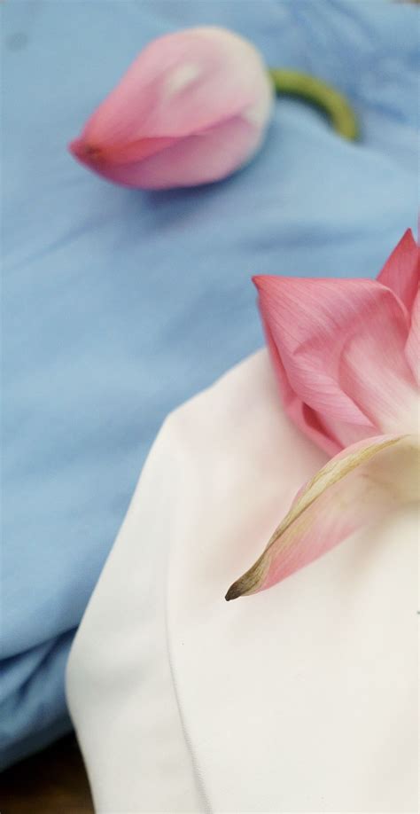 Silver Edge - Sustainable Fashion