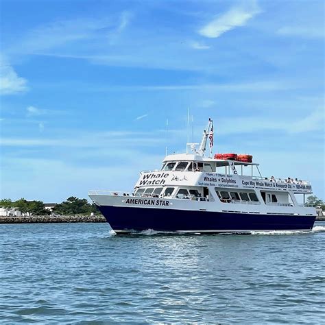 CAPE MAY WHALE WATCH & RESEARCH CENTER : Ce qu'il faut savoir pour ...