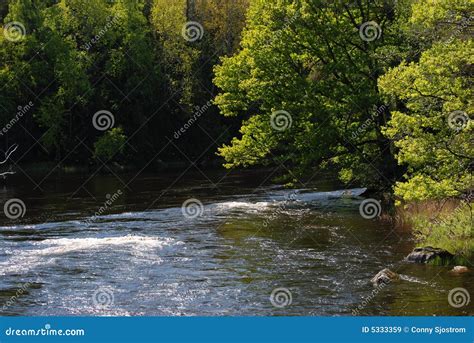 Image result for River Table Project