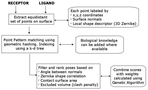 Image result for Search Algorithm Docking